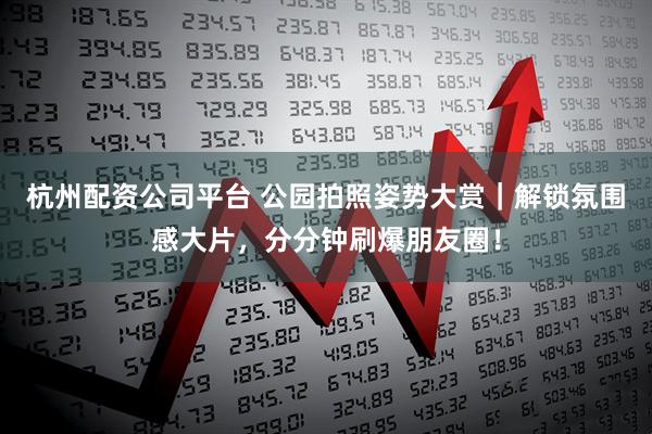 杭州配资公司平台 公园拍照姿势大赏｜解锁氛围感大片，分分钟刷爆朋友圈！